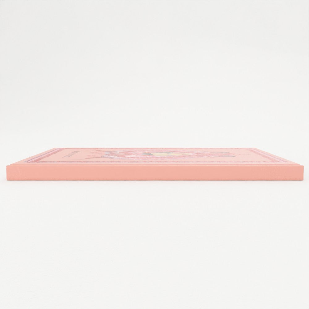 Pink Devilette Notebook 4